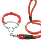 Dog Leash Stripe with Harness